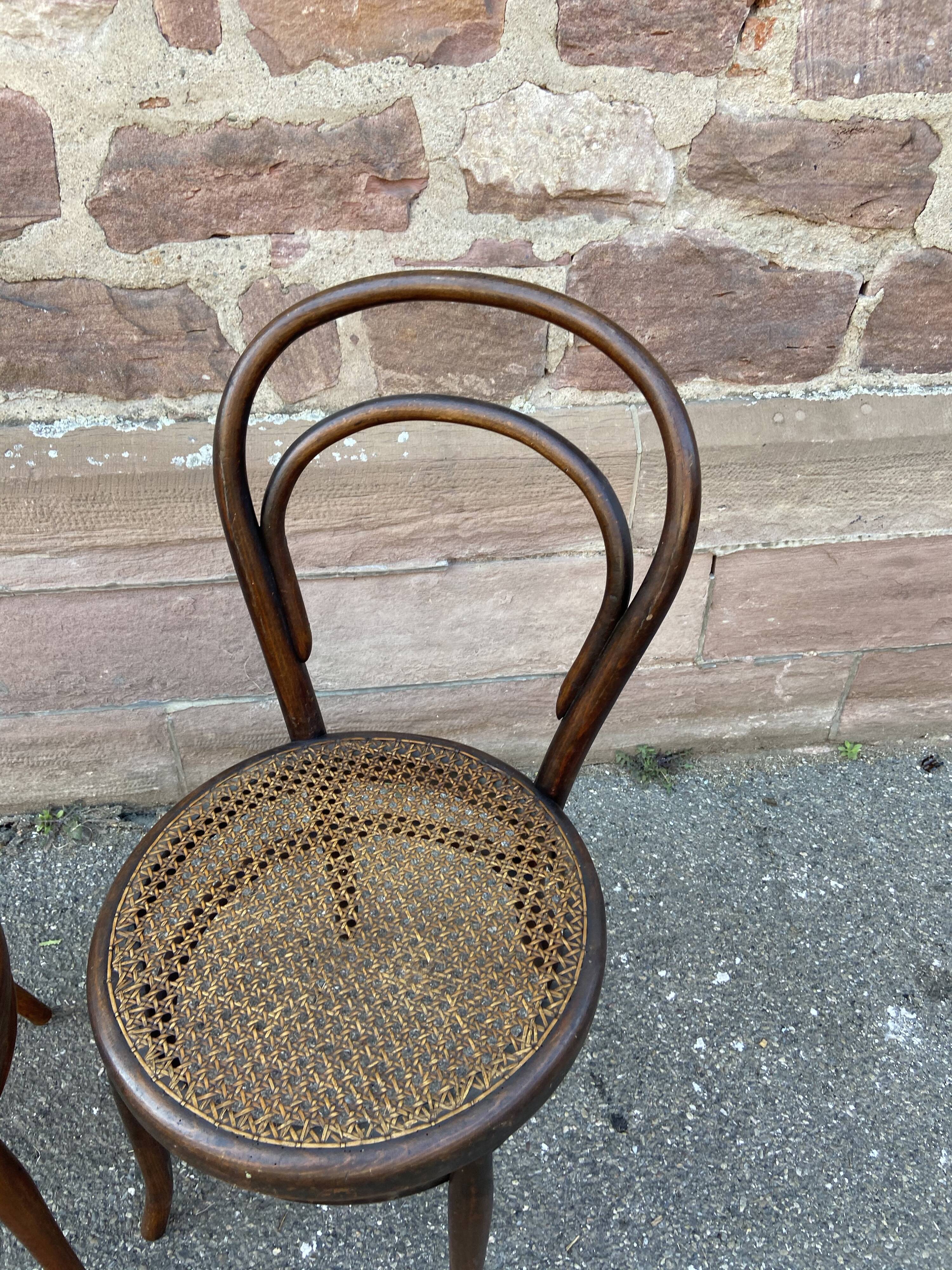 Pair of chairs bistro curved wood