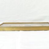 Entomology old taxidermy butterfly frame