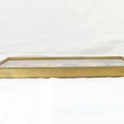 Entomology old taxidermy butterfly frame