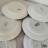 Set of 8 ironstone plates with coordinated designs.