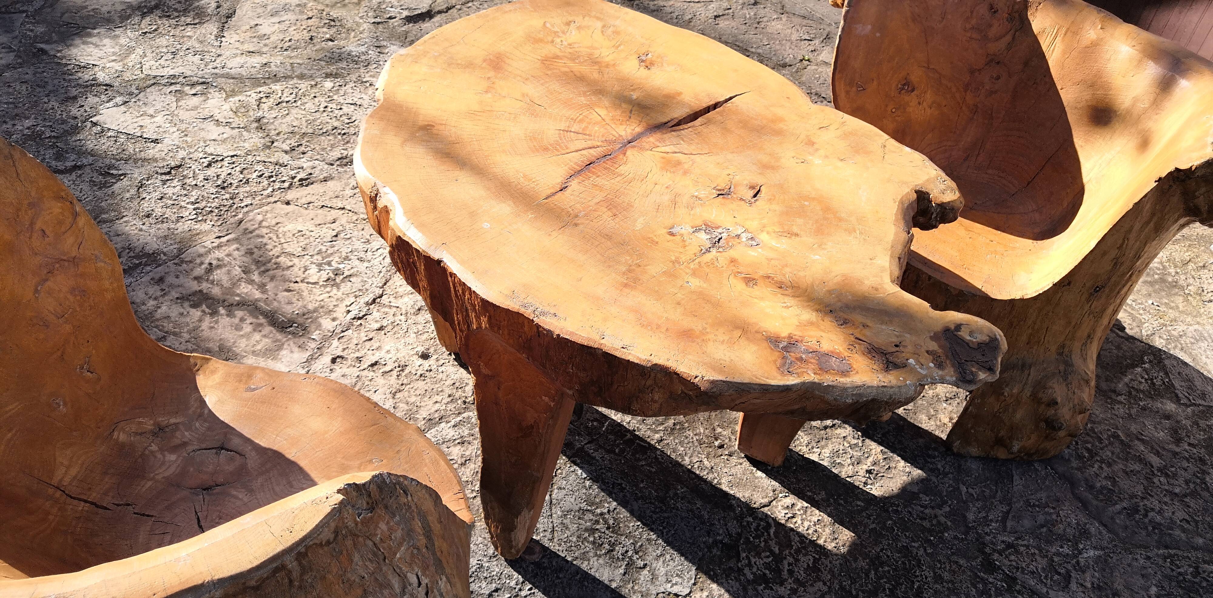 Living room 2 armchairs & coffee table in elm brutalist design 1950