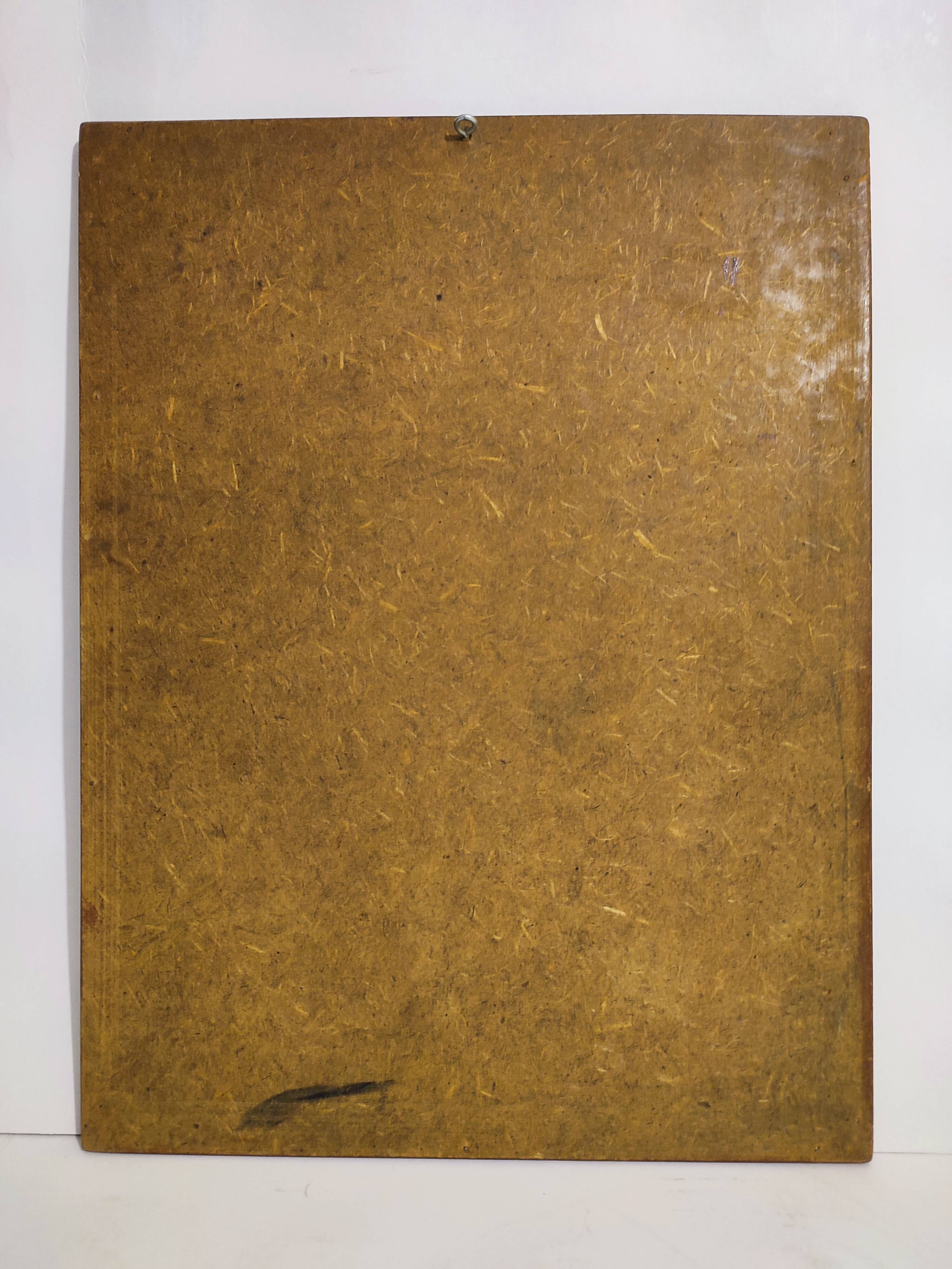 Gould lithograph enhanced hand birds