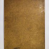 Gould lithograph enhanced hand birds