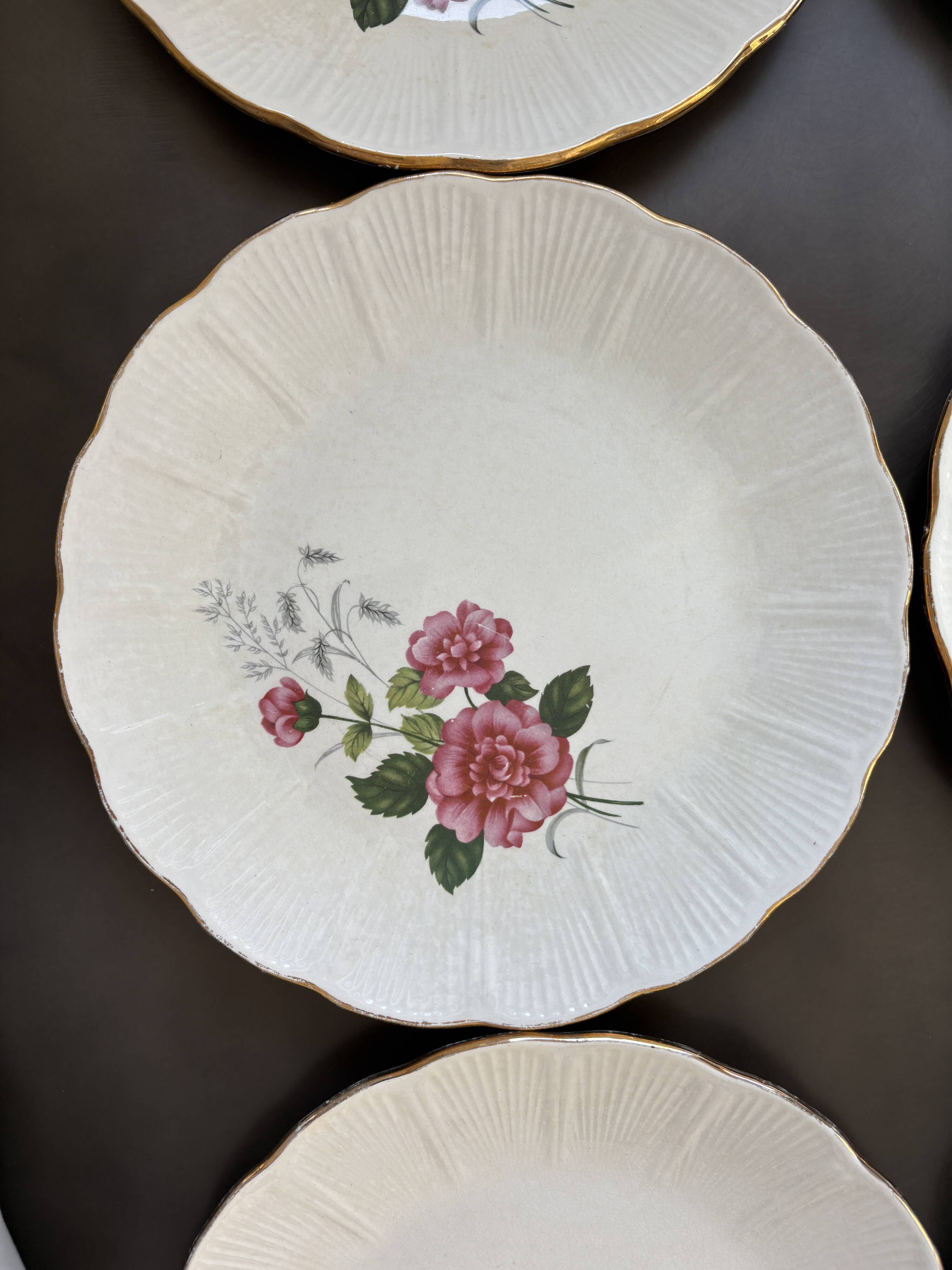 8 Amandinoise dinner plates