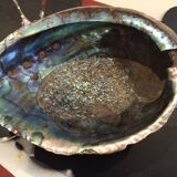 Pearl shell trinket bowl