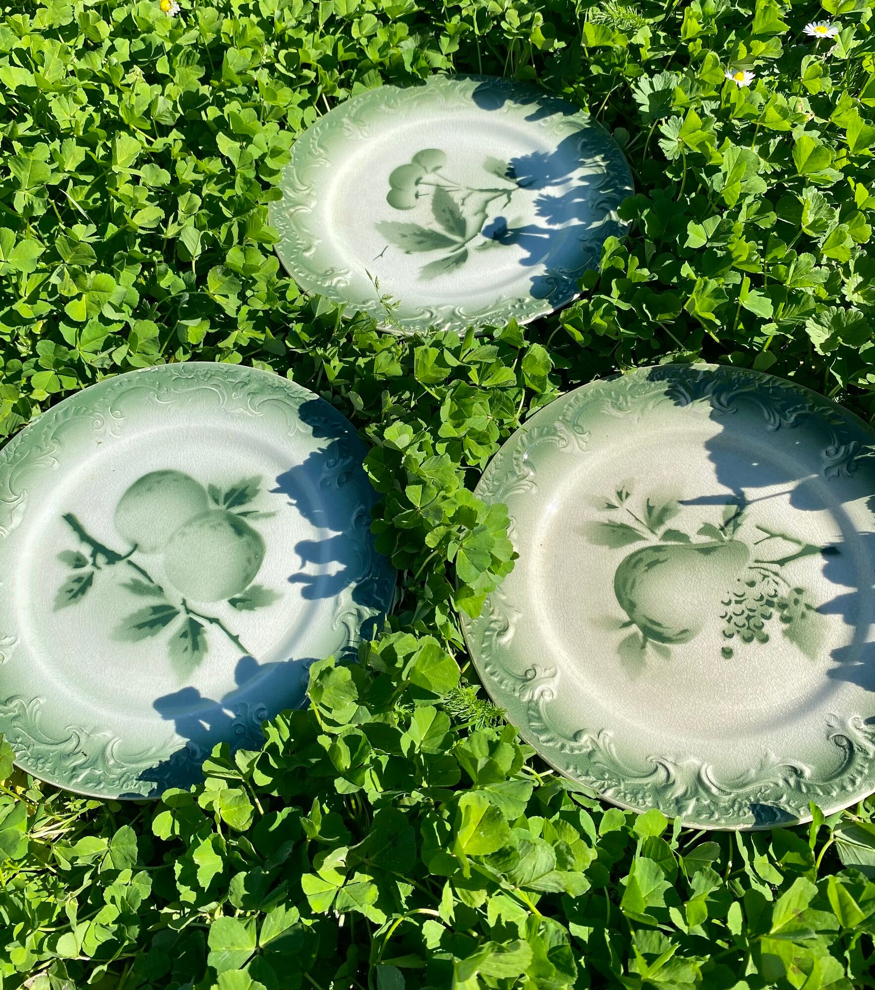 11 old dessert plates from the Pexonne earthenware factory, green and cream fruit decoration