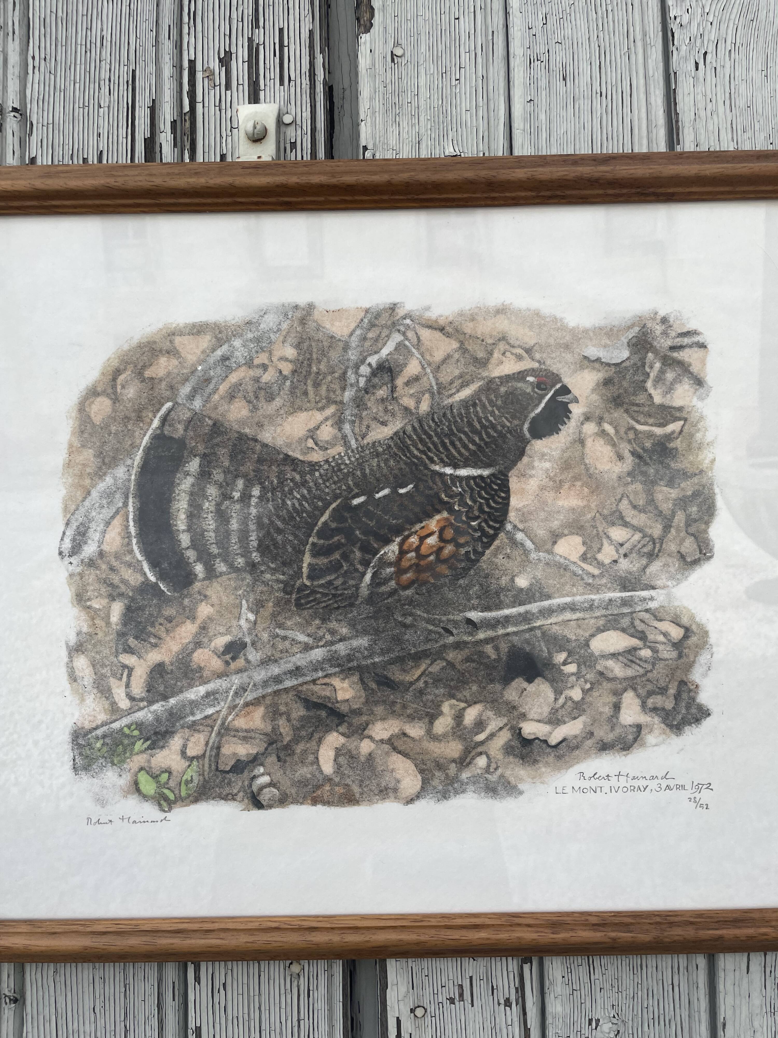Gravure originale de Robert Hainard