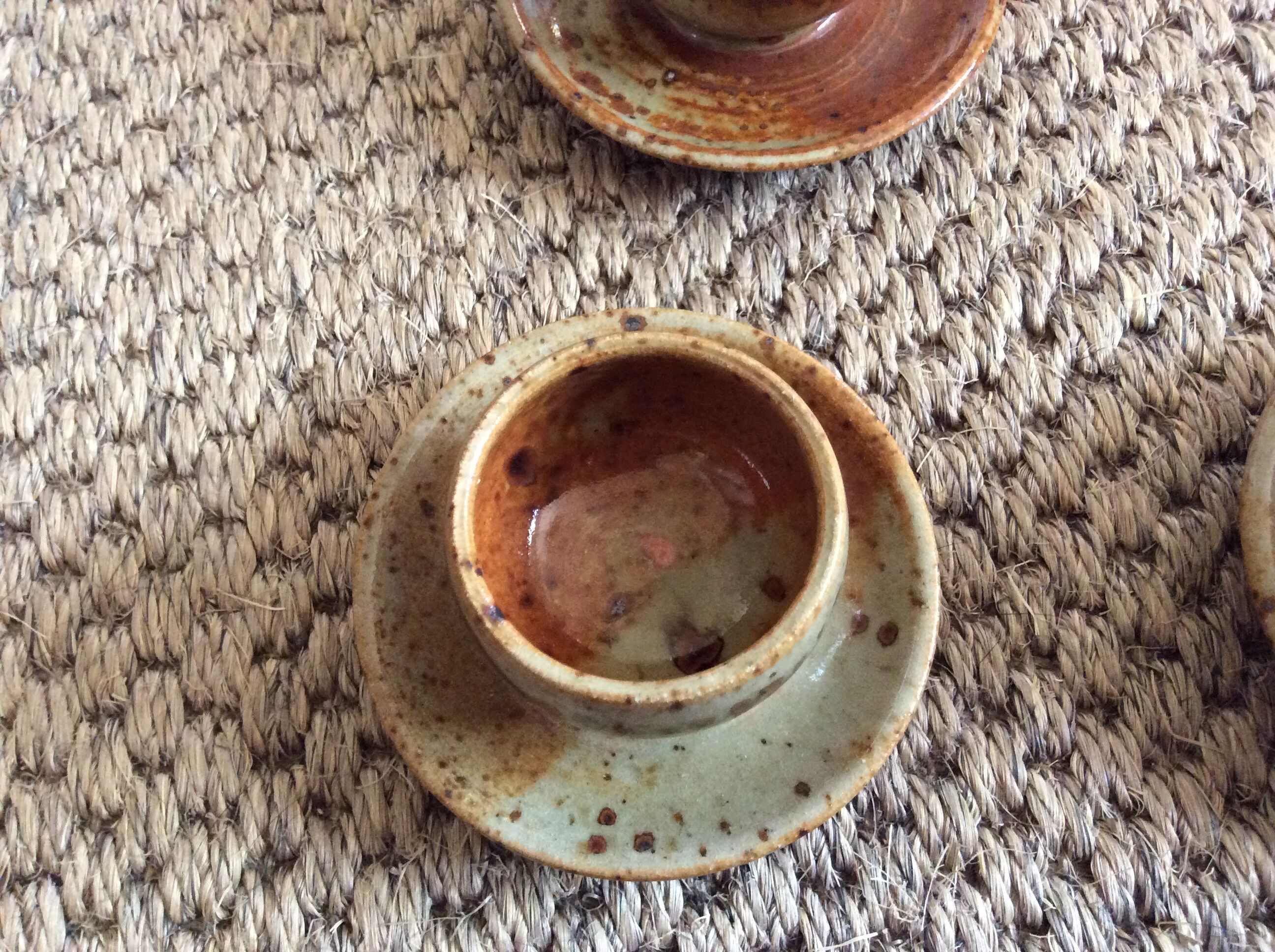 Series of 5 cockroaches