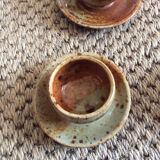 Series of 5 cockroaches