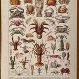 Set of lithographs XXth century