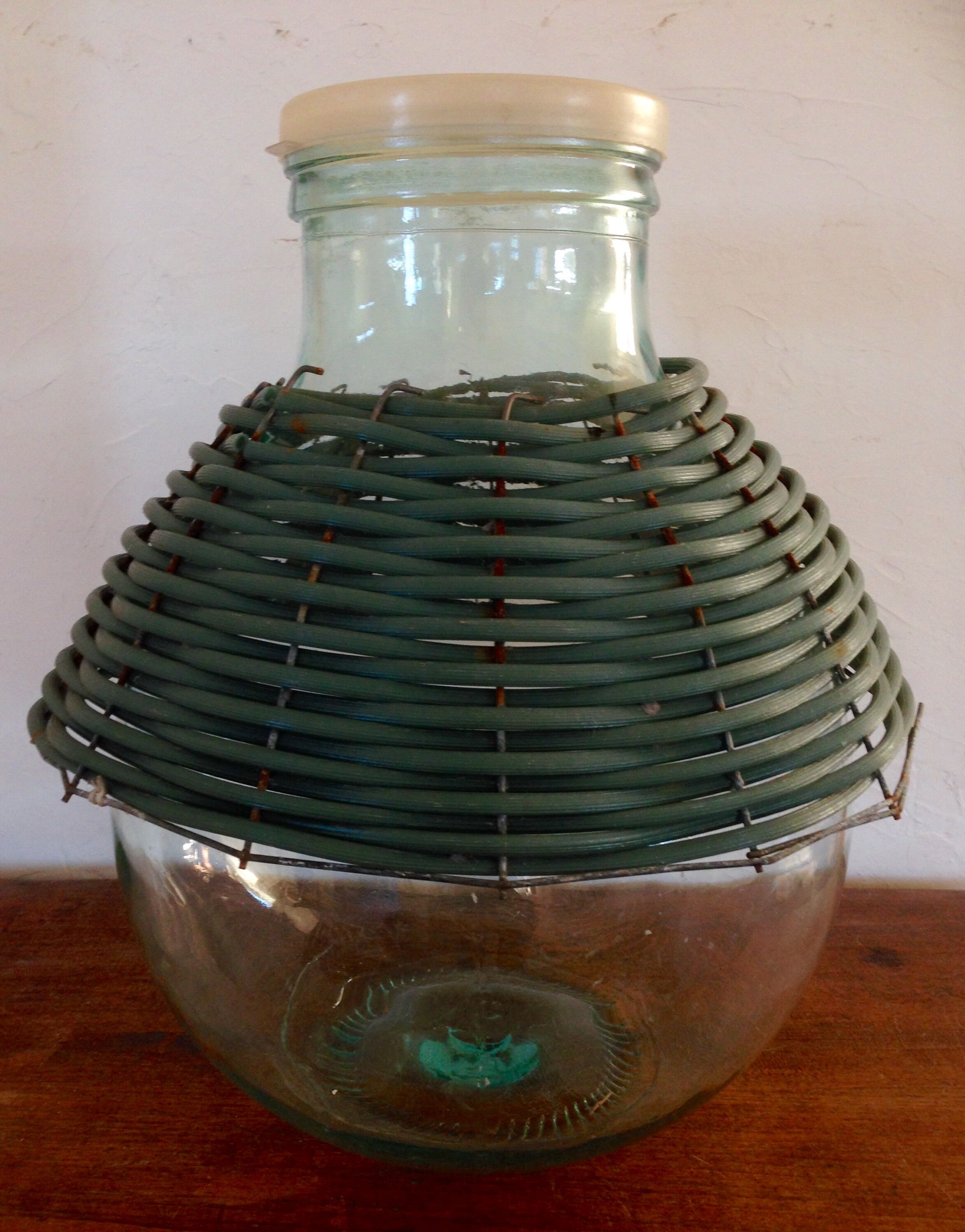 Lady Jeanne atypical 16 L, flared neck