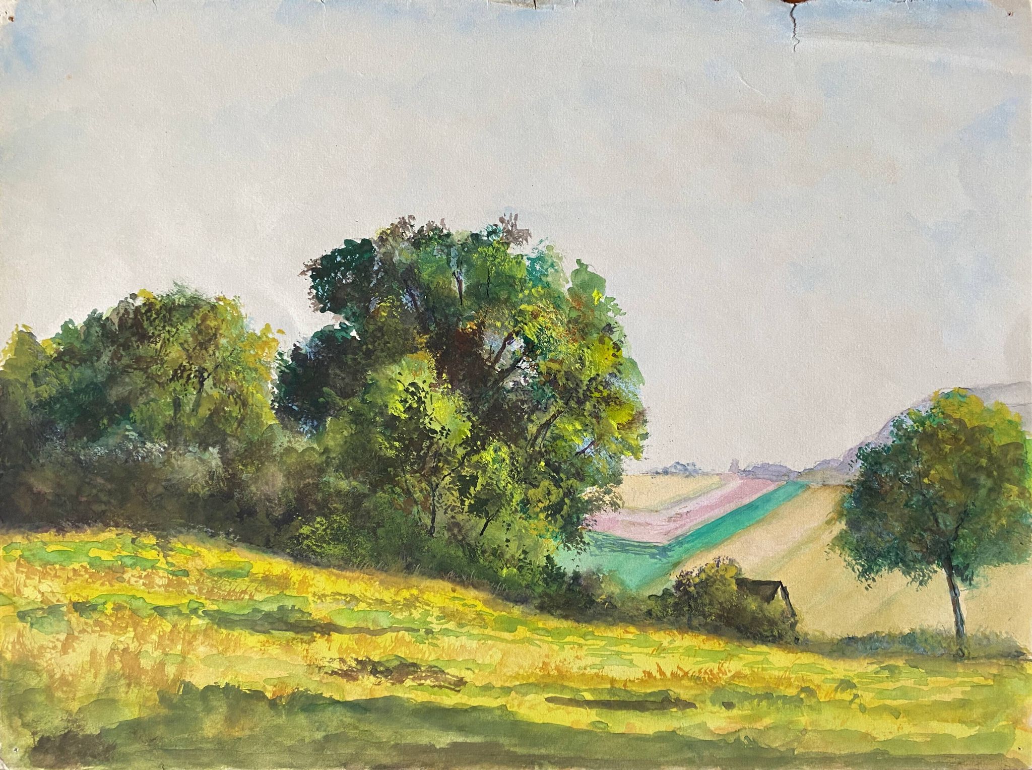 Tableau aquarelle "Plaine vallonnée et arborée" école du XX° siècle