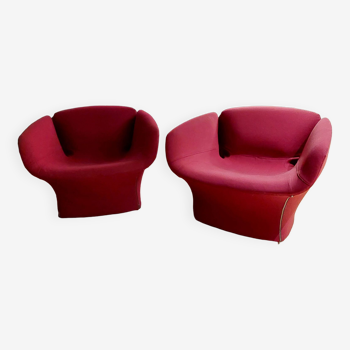 Bloomy Moroso armchair