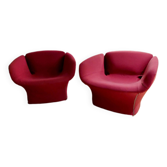 Bloomy Moroso armchair