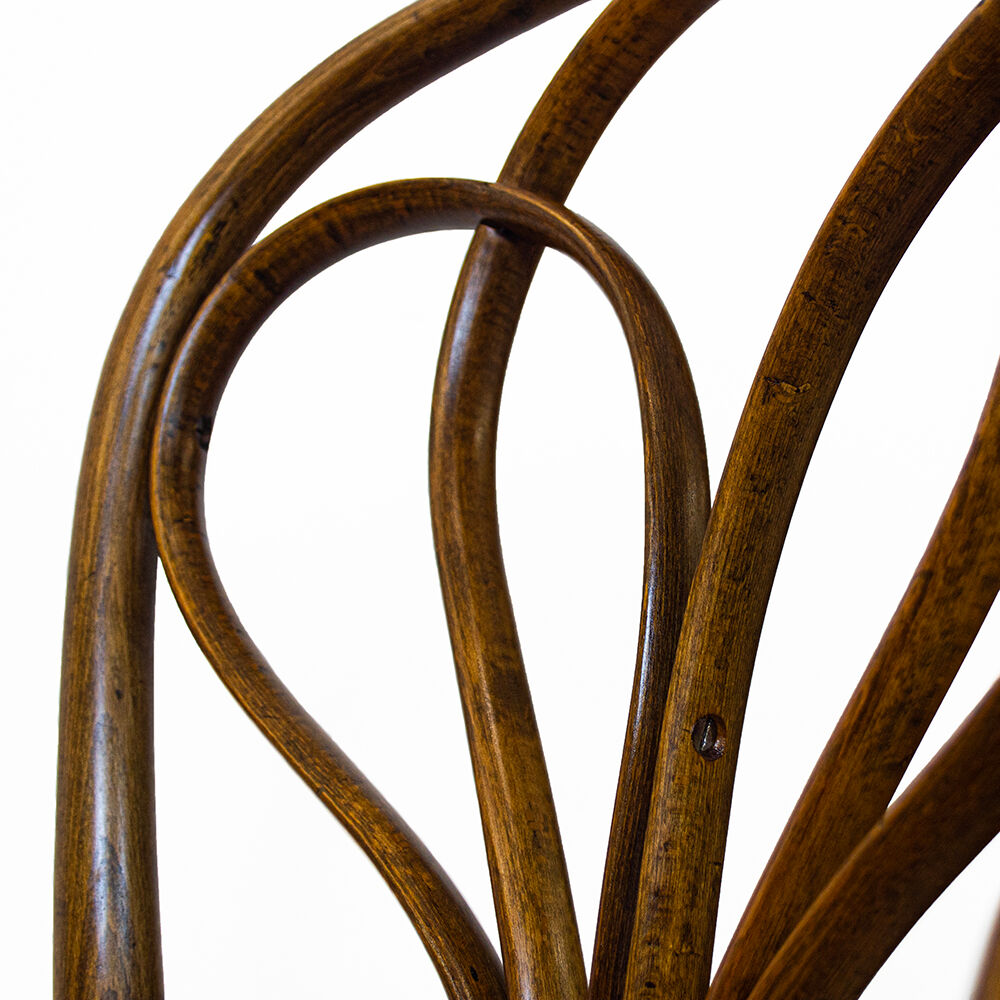 Antique Spanish Bentwood Chair in Oak by Ventura Feliu, 1890s, Set of 4