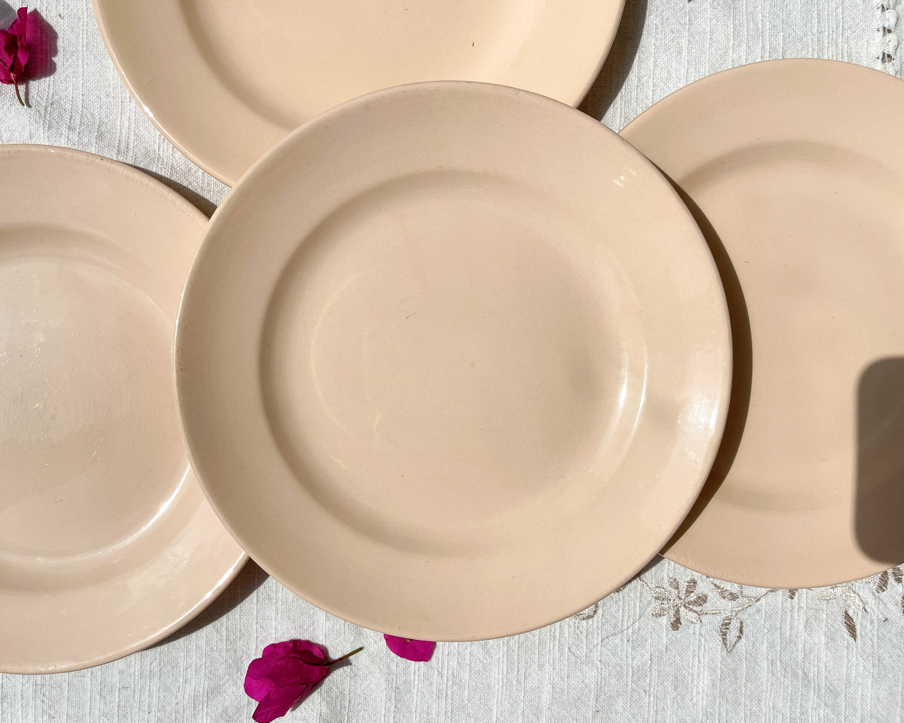7 Small dessert plates Rose Digoin Sarreguemines