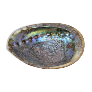 coquillage
