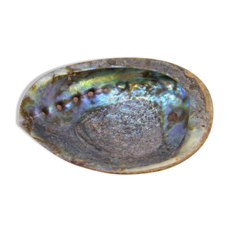 Shell