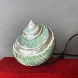 Desk pen set with sea shell lamp