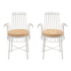 Mathieu Matégot paire de chaises Cap d’Ail 1950s