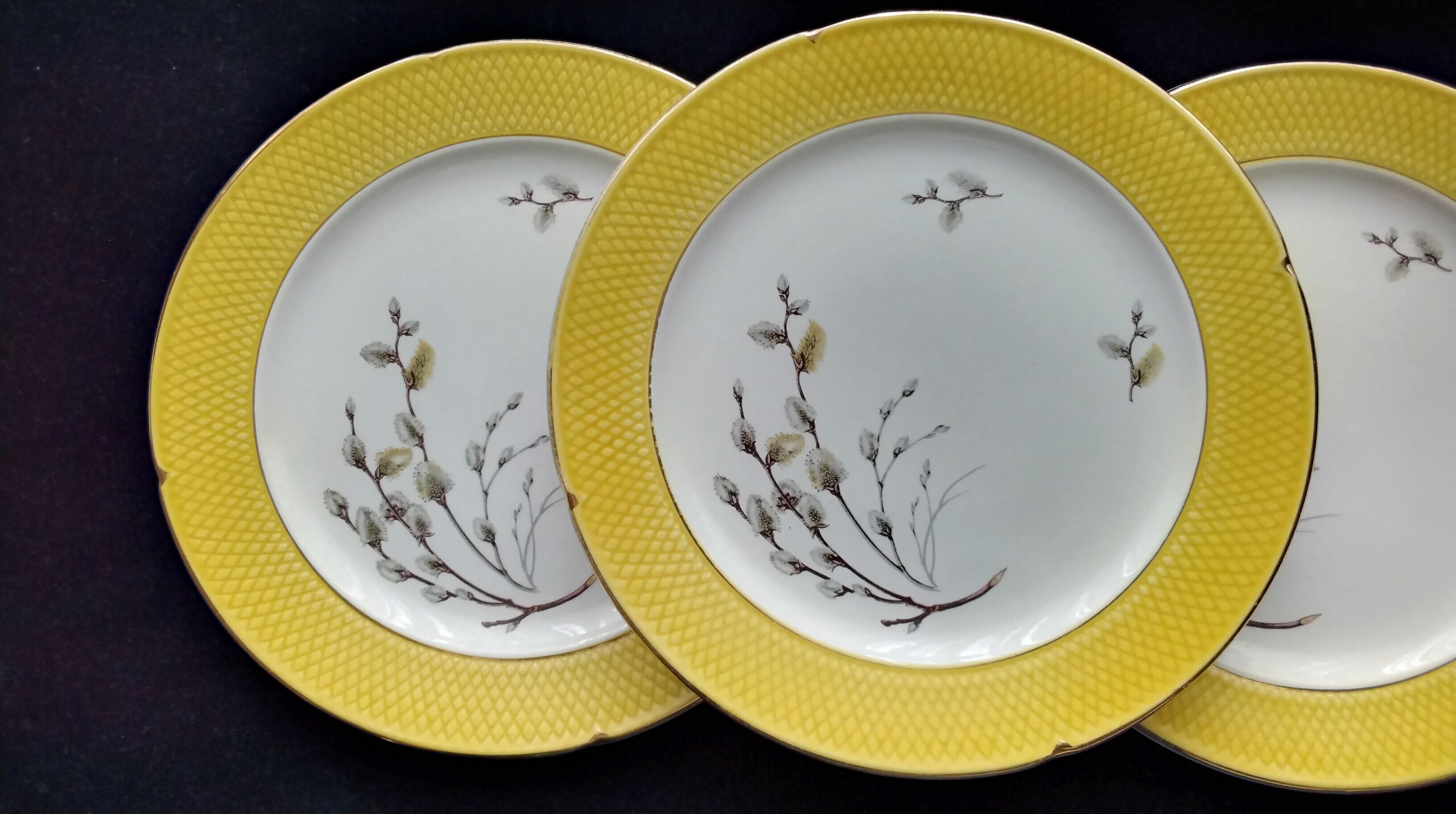 Set of 6 dessert plates Salins France