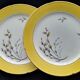 Set of 6 dessert plates Salins France