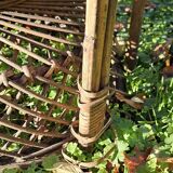 Emmanuelle armchairs