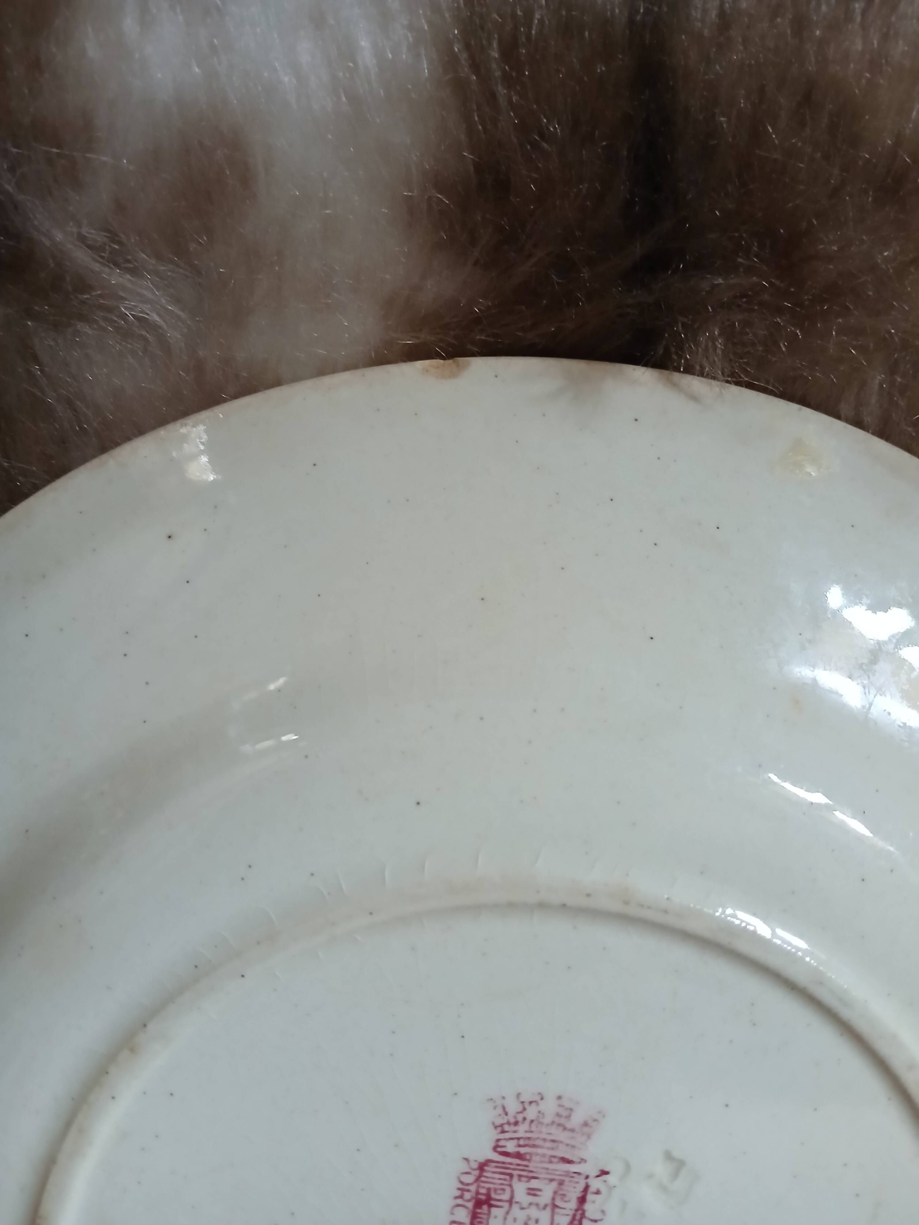 10 antique flat plates in ironstone