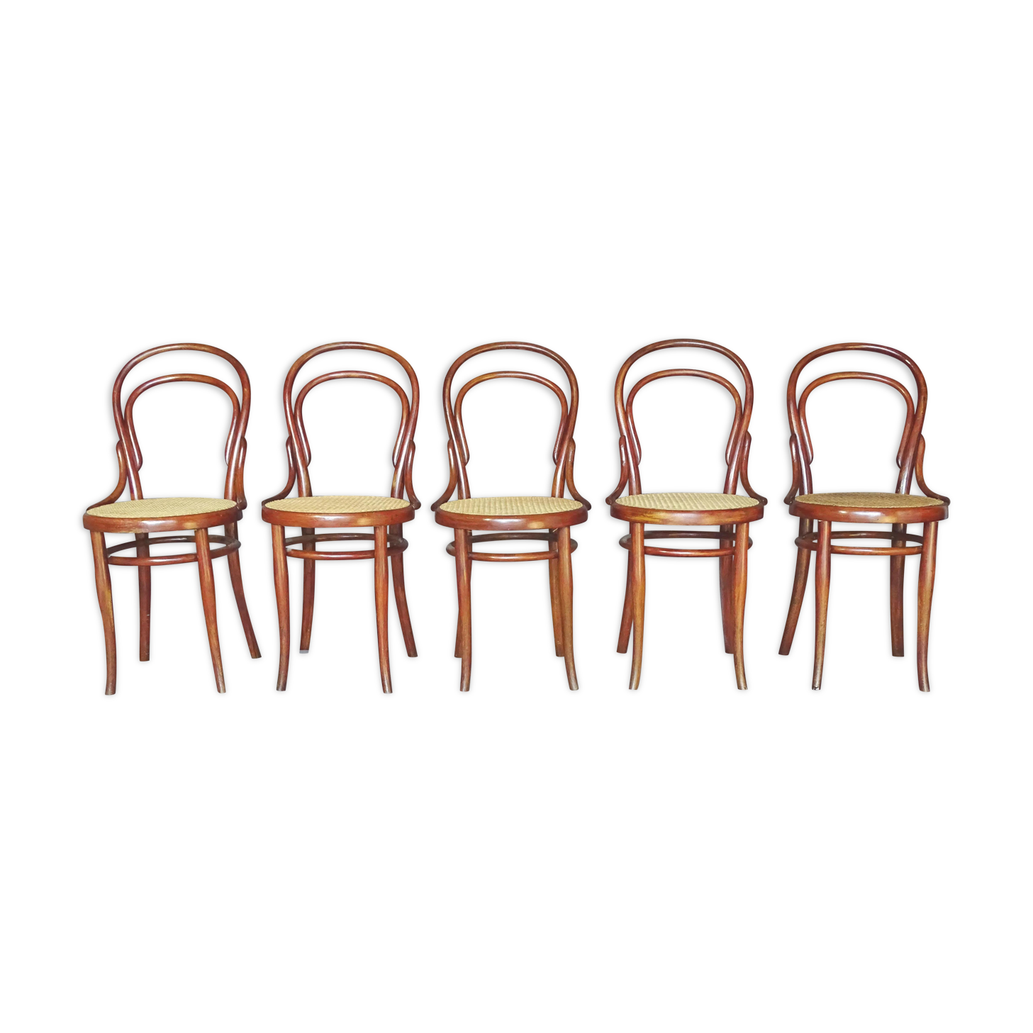 Set of 5 Thonet chairs N°14 1/2 circa 1910 perfect cannages