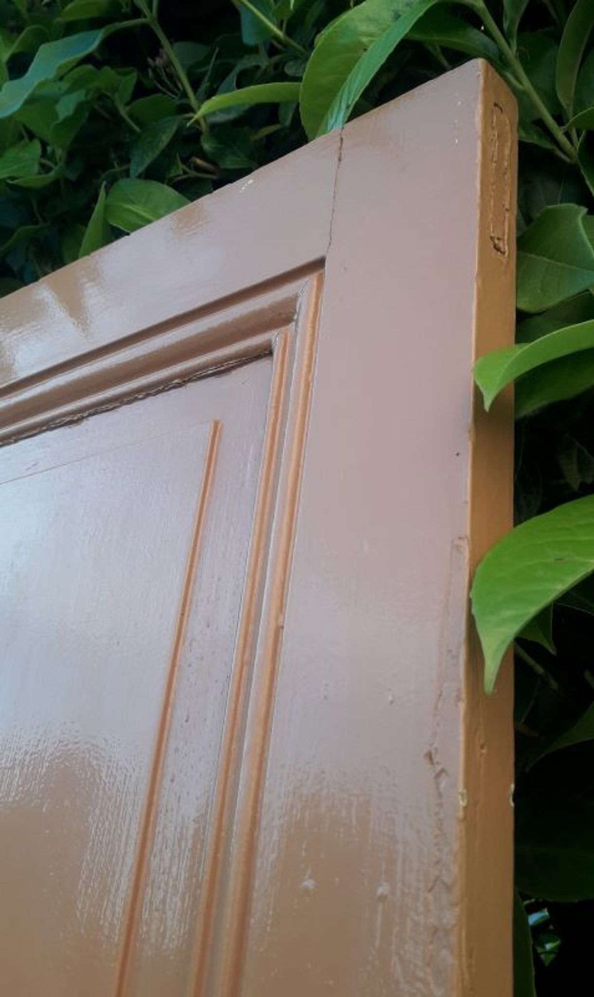 Porte 199x82,8cm ancienne moulurée