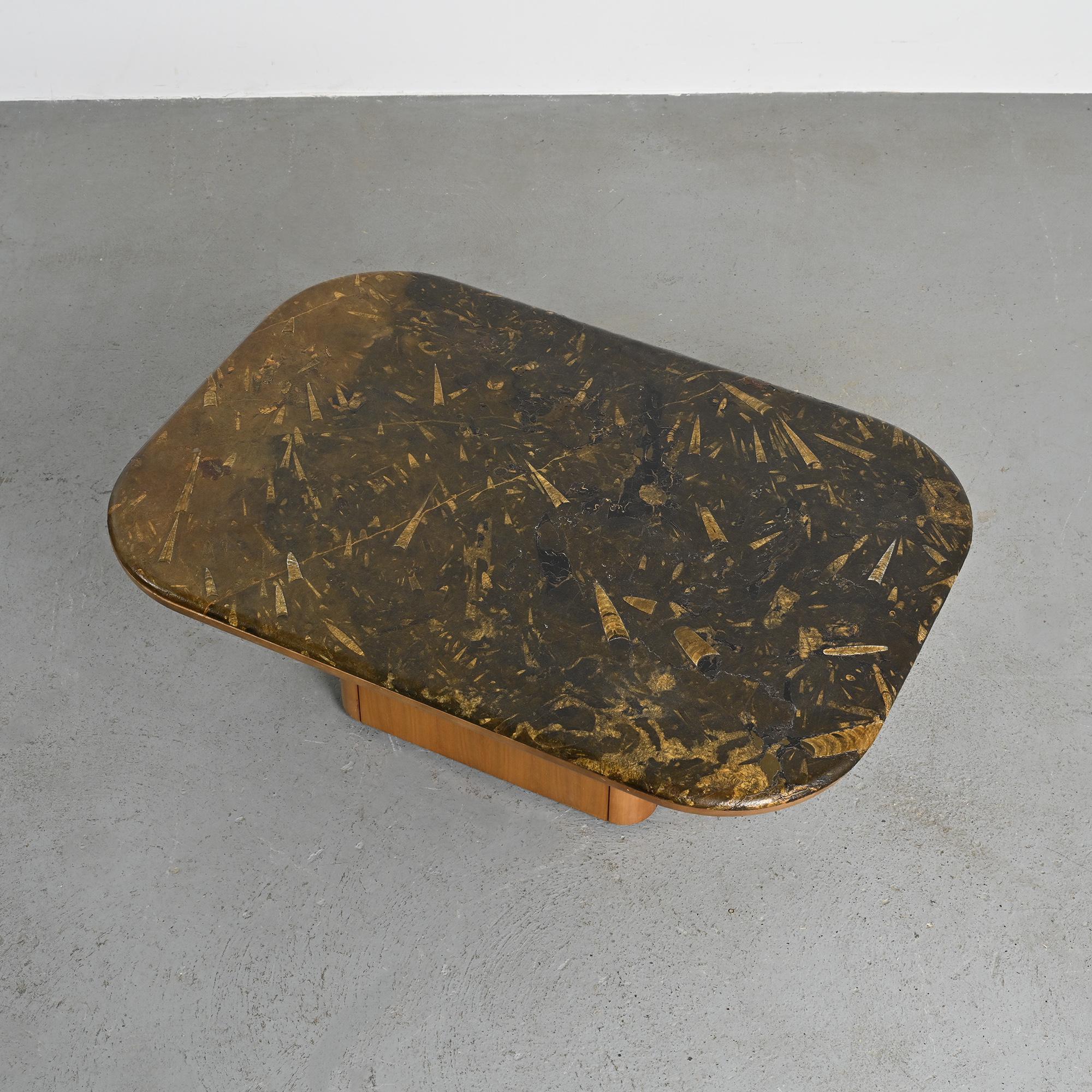 Fossil stone coffee table, Fossile collection, Switzerland, circa 1980.