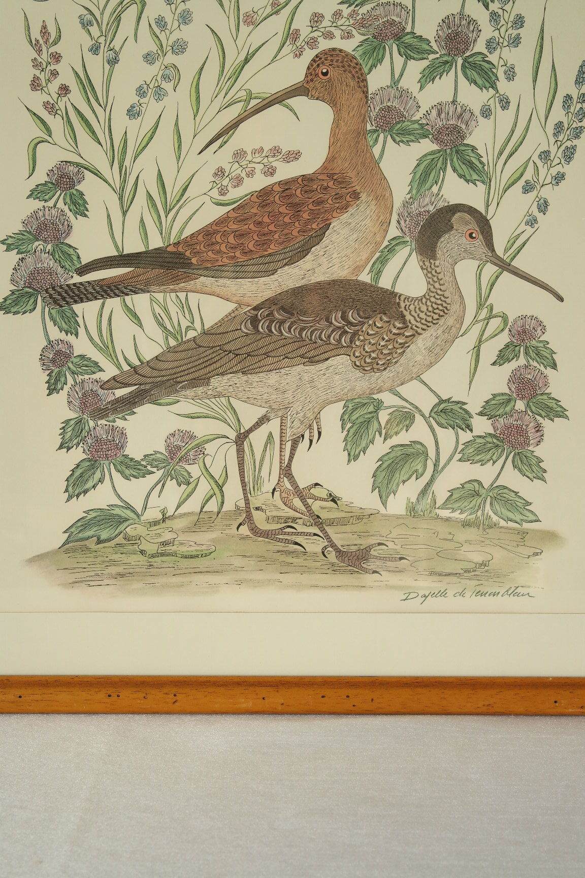 Tableau vintage aquarelle ducks of terronblan monbaly dayelle