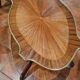 19th century tea table