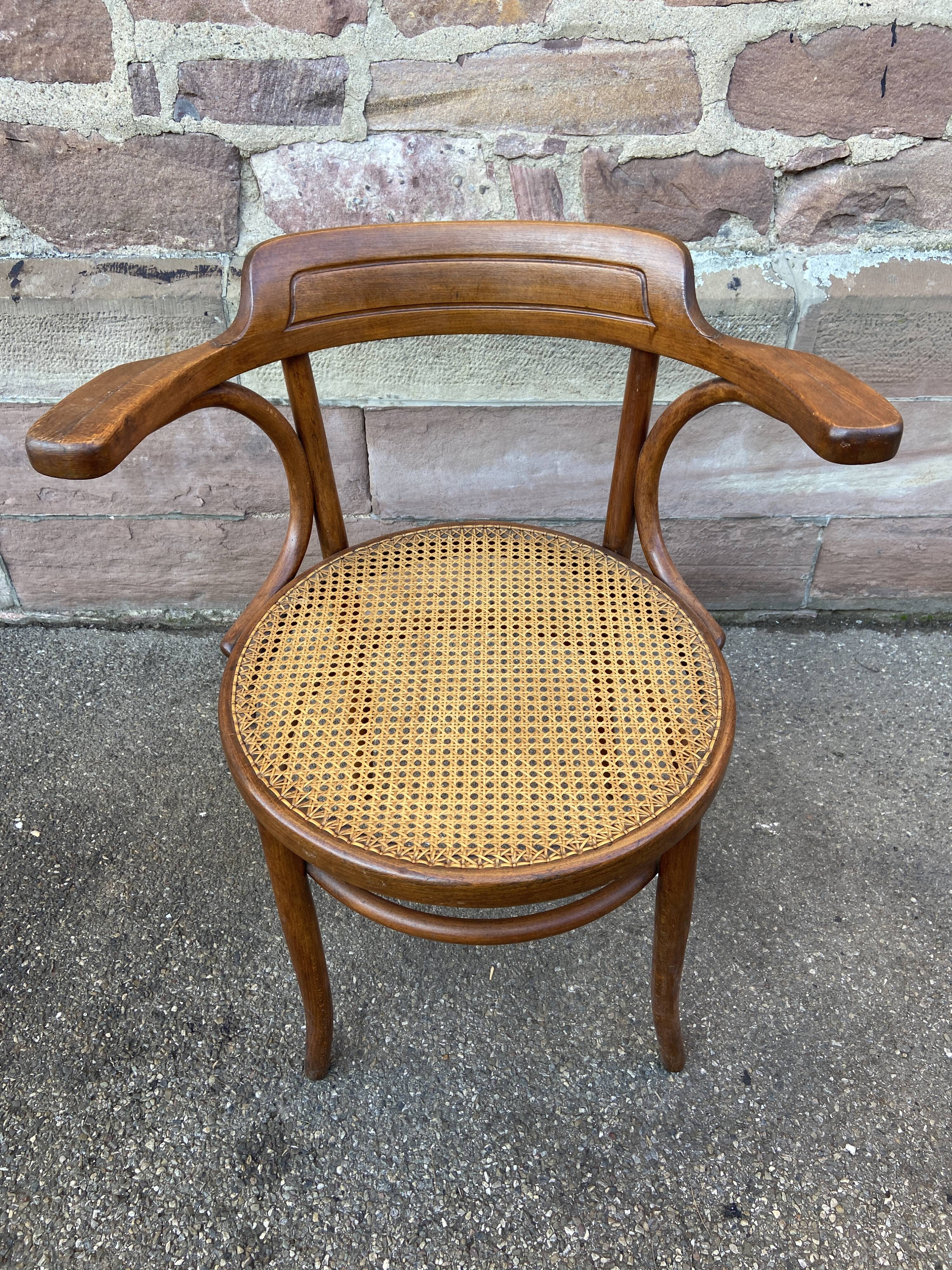 Viennese curved wood armchair Fischel circa 1920