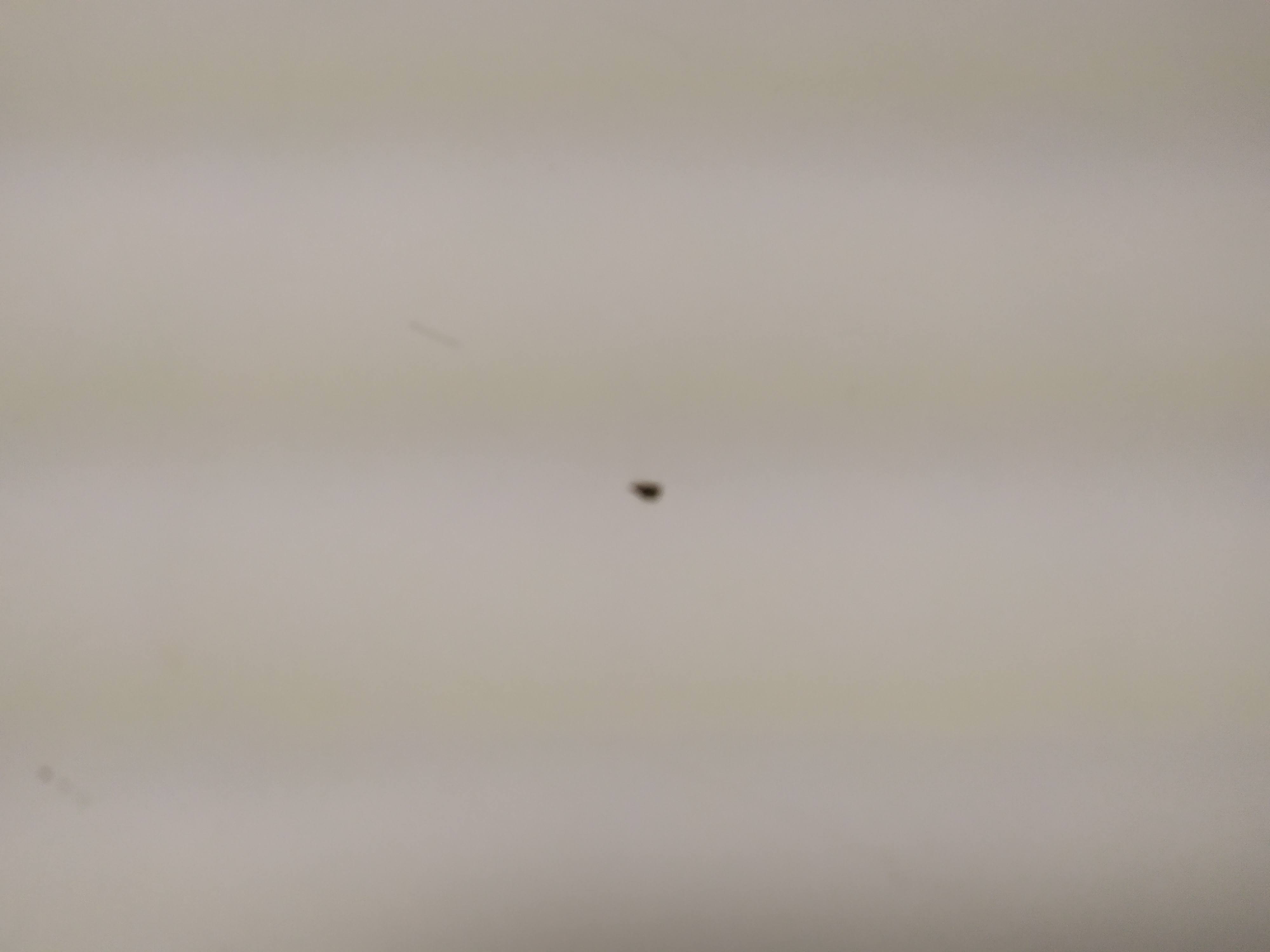 Round table Giancarlo Piretti