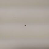 Round table Giancarlo Piretti