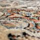 Antique Persian carpet handmade – wool – excellent condition
