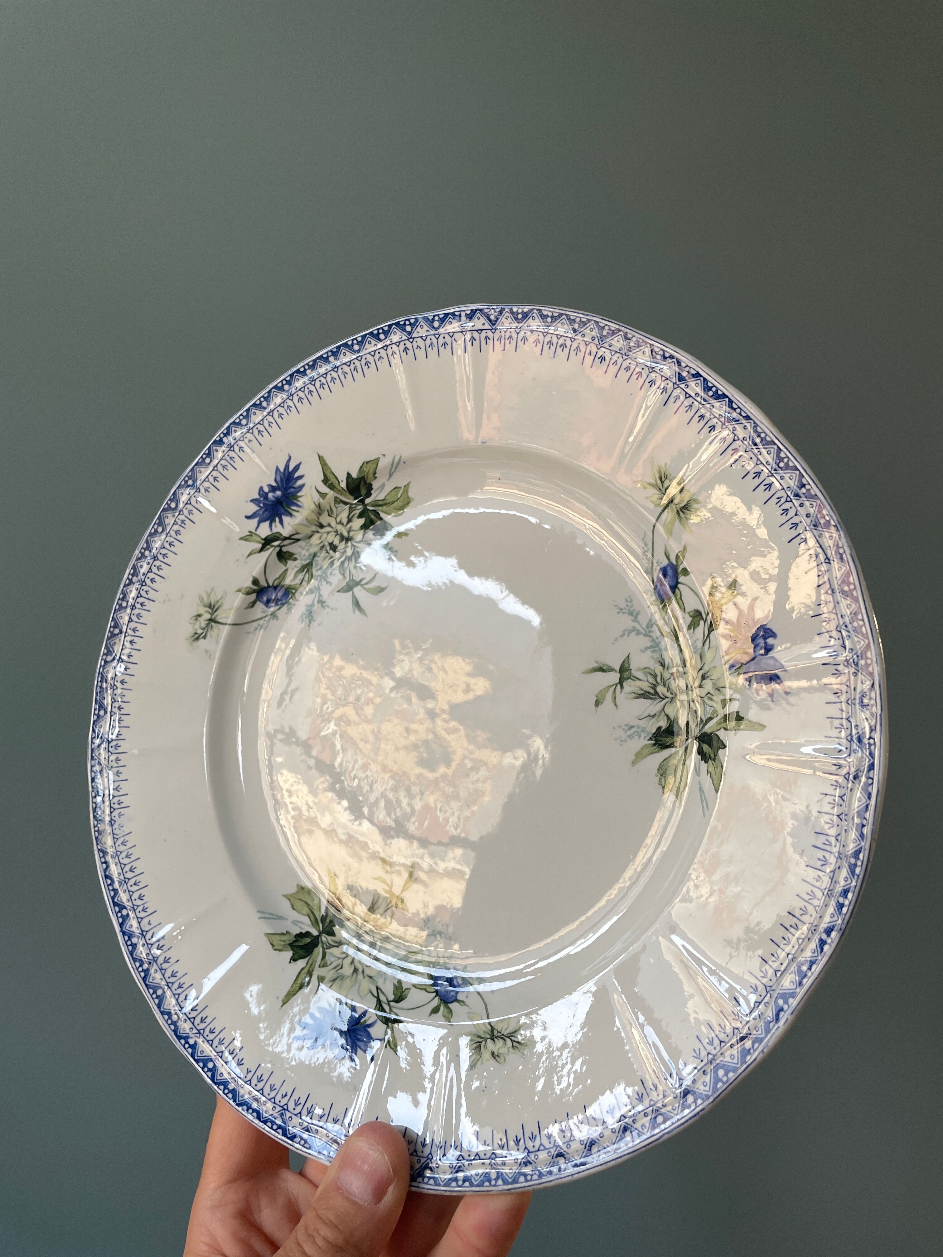 Lot de 6 assiettes plates Terre de Fer St Amand et Hamage