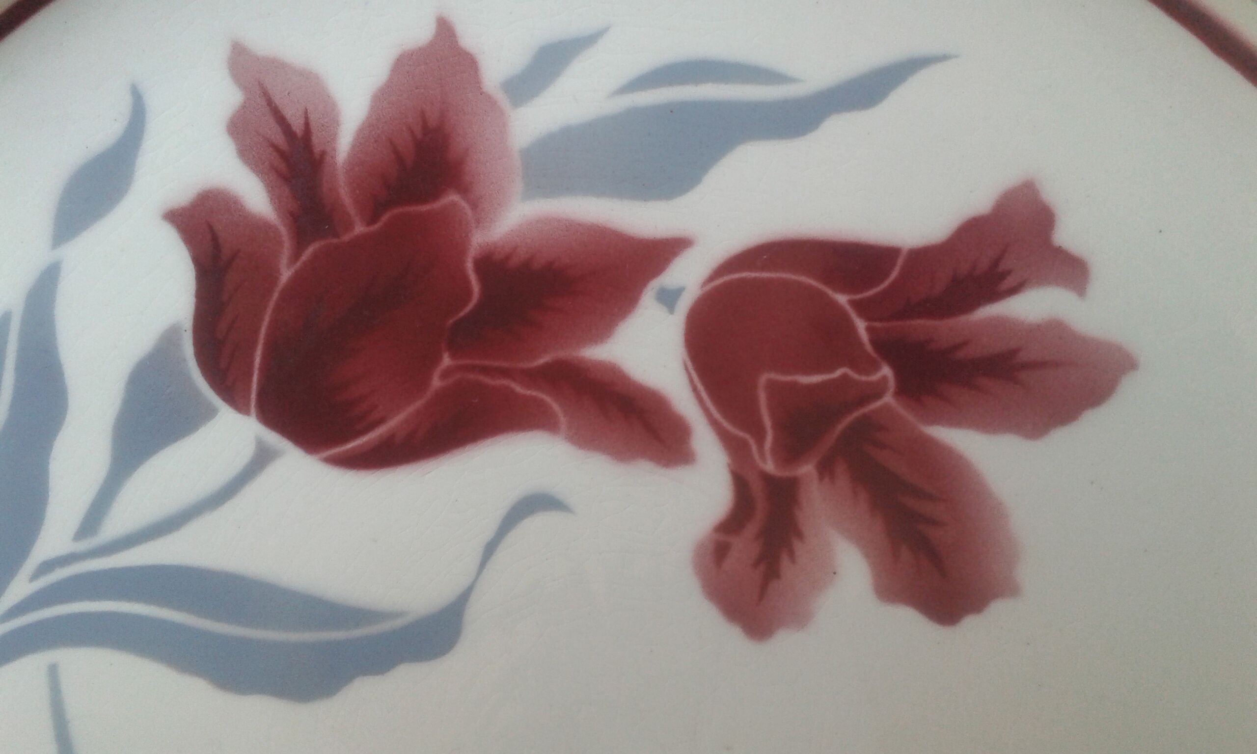 Dish Badonviller Tulip