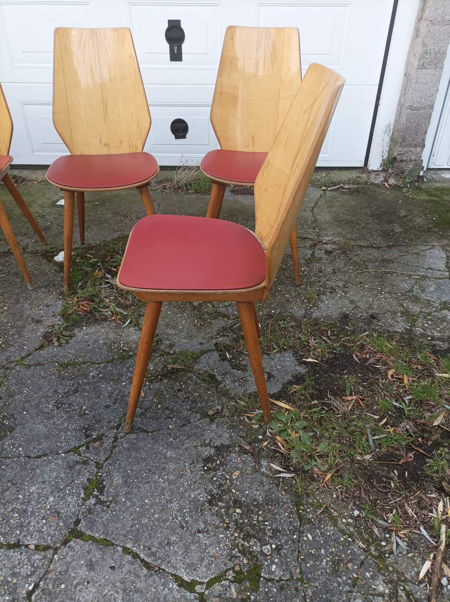 6 vintage Baumann chairs by Max Bill 50s