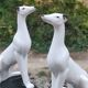 Pair of glazed porcelain Greyhounds 1940/50