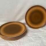 Ensemble de 5 assiettes en grès vintage