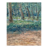 Landscape in Viseu, Portugal