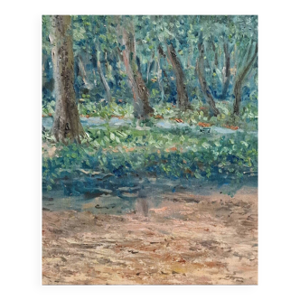 Landscape in Viseu, Portugal