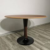 Drevotvar coffee table