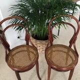 4 tuna chairs