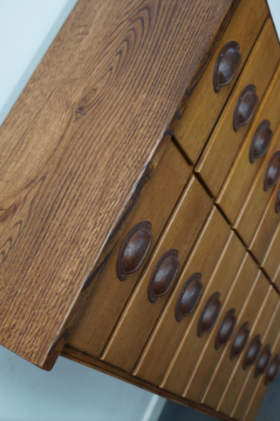 German apothecary's cabinet in oak mid-twentieth century