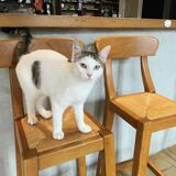Pair of bar chairs