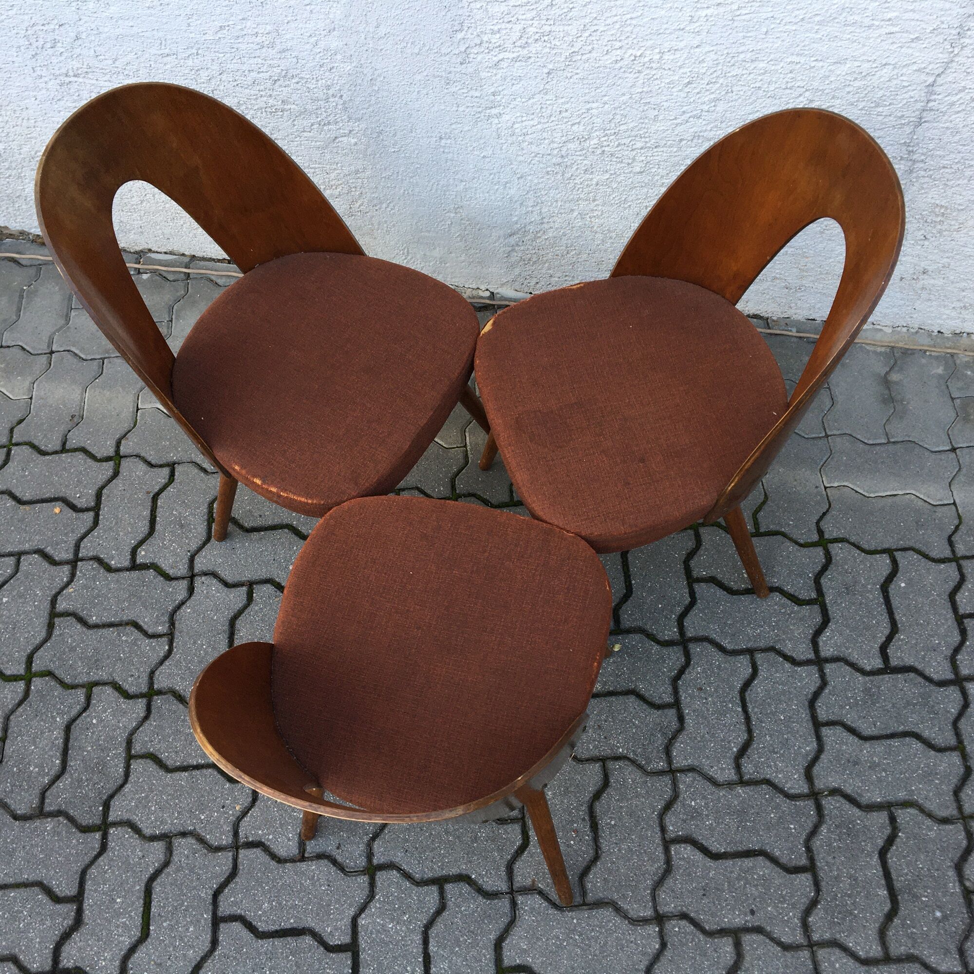 Lot de 3 chaises Lollipop par Antonin Suman, mid century 50s, Tchécoslovaquie