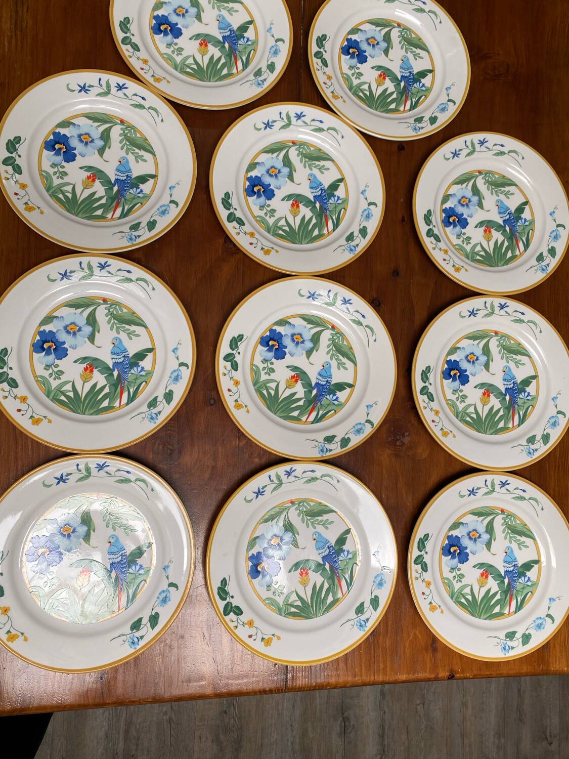 Vintage dinner plates